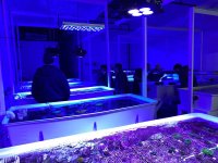 IMAGE 2026-02-24 10:02:47.jpg