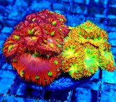 325 CD33A0BF-2014-469C-A5CE-206D875A2B83_1_201_a.jpg