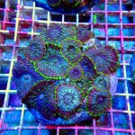 210 026-03-04 at 11.34.49.jpeg