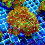 215 WhatsApp Image 2026-03-04 at 11.34.09 (2).jpeg