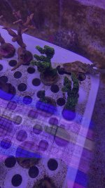 AquaCam_DB310267.jpeg