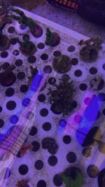 AquaCam_5773AD4F.jpeg