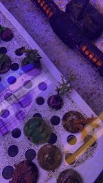 AquaCam_BA153938.jpeg