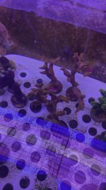 AquaCam_5BA41D49.jpeg