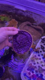 AquaCam_22D8D293.jpeg