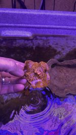 AquaCam_42E857F8.jpeg
