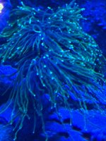 IMG_6206.jpeg