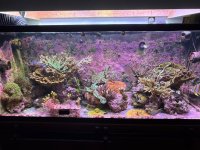 IMG_5920.jpeg