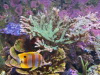 IMG_5914.jpeg