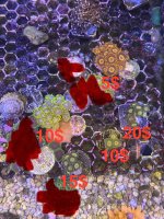 IMG_3742.jpeg