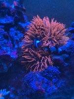 IMG_5651.jpeg