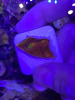 IMG_3405.jpeg