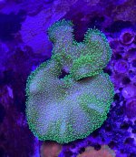 IMG_3429.jpeg