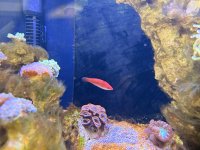 IMG_6432.jpeg