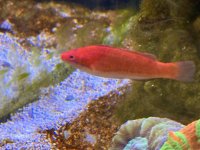 IMG_6433.jpeg