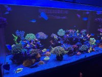 IMG_1211.jpeg