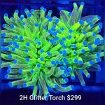 GridArt_20260324_224454134.jpg