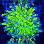 GridArt_20260324_224405858.jpg