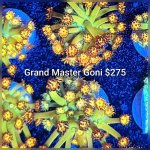 GridArt_20260324_224203622.jpg