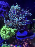 IMG_3830.jpeg