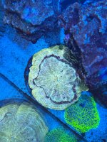 IMG_5625.jpeg