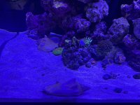IMG_3020.jpeg