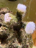 IMG_4020.jpeg