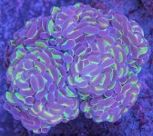 PXL_20260328_023347586~2.jpg