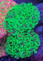 PXL_20260328_023408758~2.jpg
