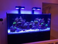 210cab4d-4191-46c0-a5c6-ffb8f72dab47 (1) copy.jpg