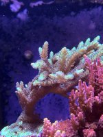 IMG_3562.jpeg