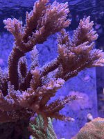 IMG_3559.jpeg