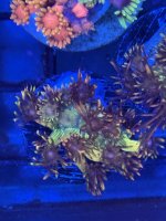 IMG_4863.jpeg