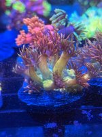 IMG_4862.jpeg