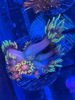 IMG_4857.jpeg
