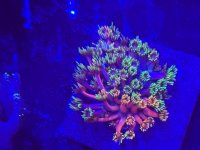 IMG_4859.jpeg
