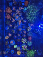 IMG_4840.jpeg