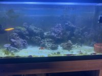 IMG_6329.jpeg
