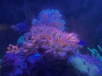 IMG_6796.jpeg