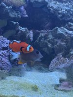 IMG_6358.jpeg