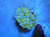 DSCN2818.JPG