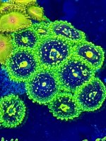 IMG_0720.jpeg