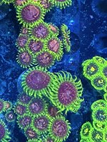 IMG_0722.jpeg