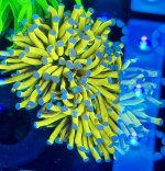 IMG_0734.jpeg