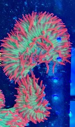 IMG_0738.jpeg