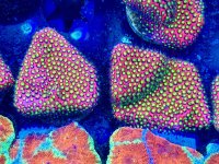 IMG_0725.jpeg