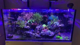 AquaCam_11595647.jpg