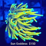 GridArt_20260407_210839979.jpg