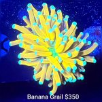 GridArt_20260407_210343544.jpg