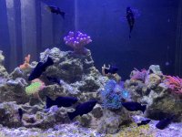 IMG_4049.jpeg